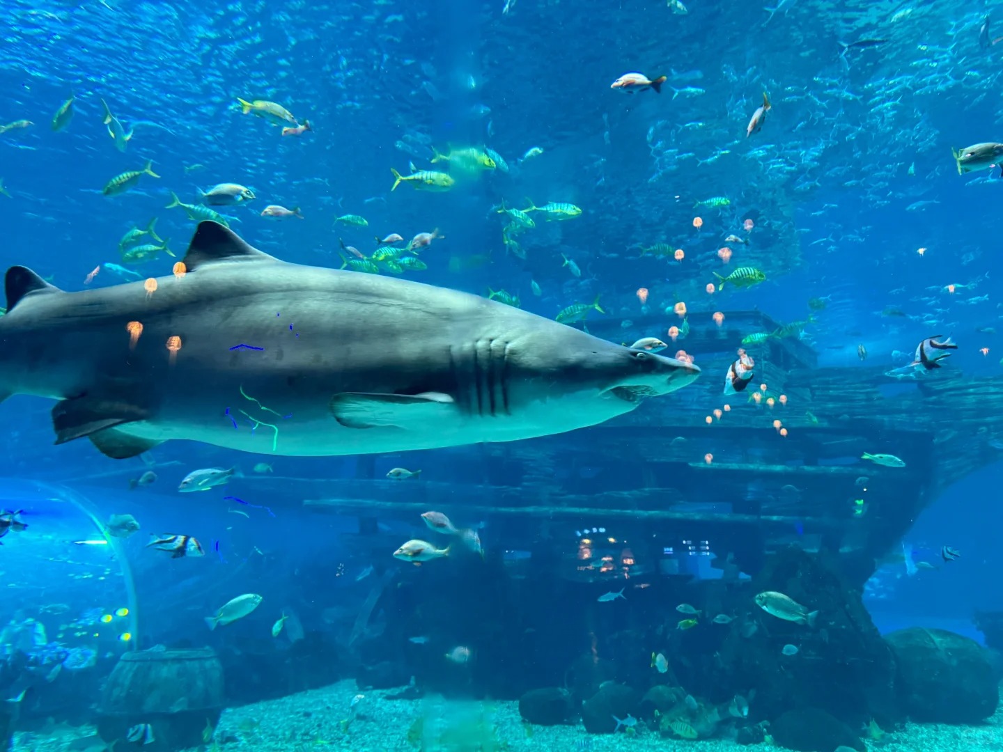 Gulangyu Underwater World